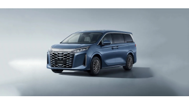 BYD M9