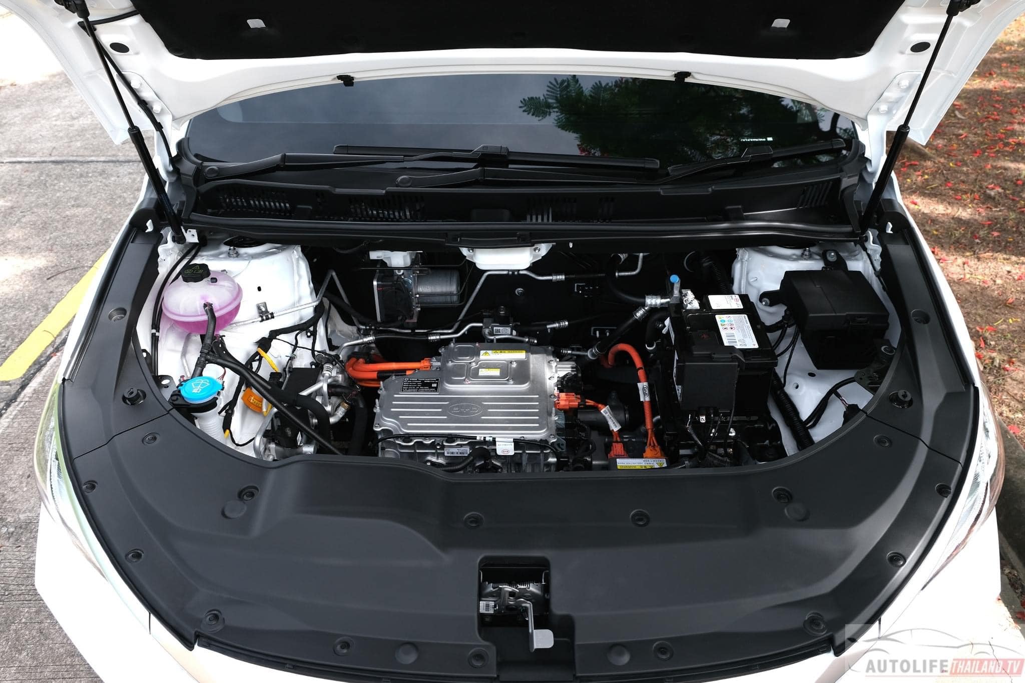 BYD M6