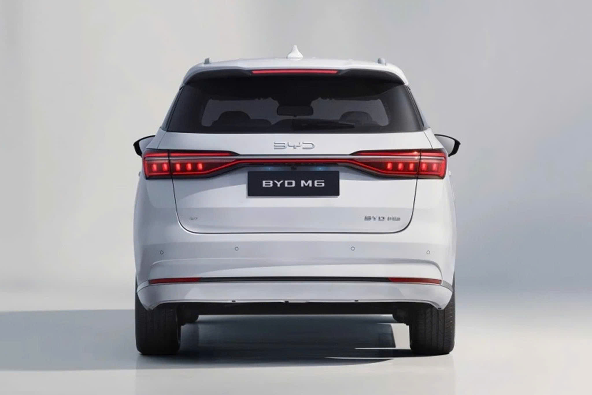 BYD M6